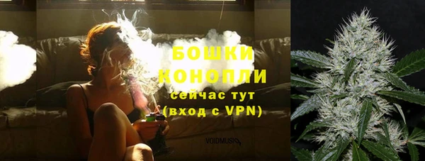 бошки Алексин