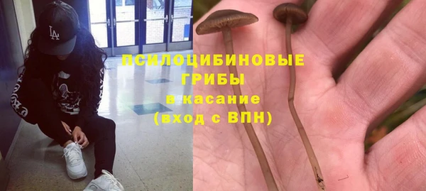 сатива Абдулино