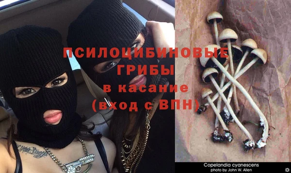 Альфа ПВП Россошь