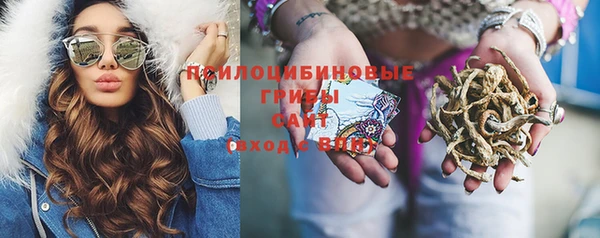 сатива Абдулино