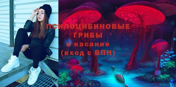Альфа ПВП Россошь