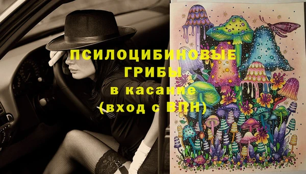 Альфа ПВП Россошь