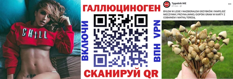 Псилоцибиновые грибы прущие грибы Гагарин